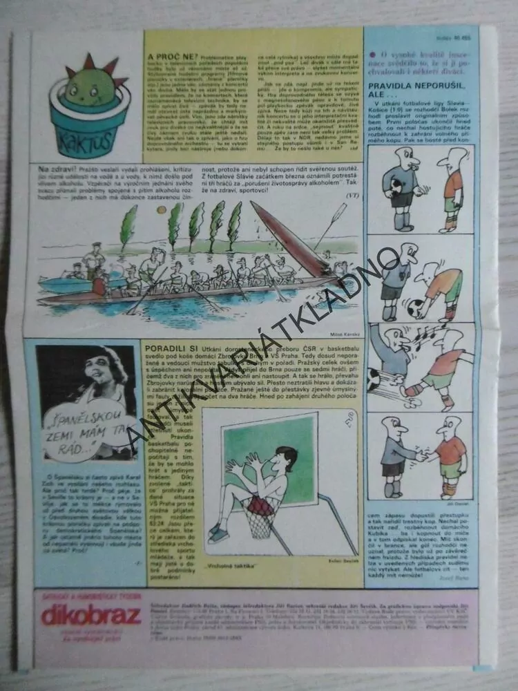 DIKOBRAZ 15/1986