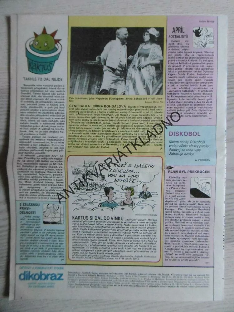 DIKOBRAZ 19/1986