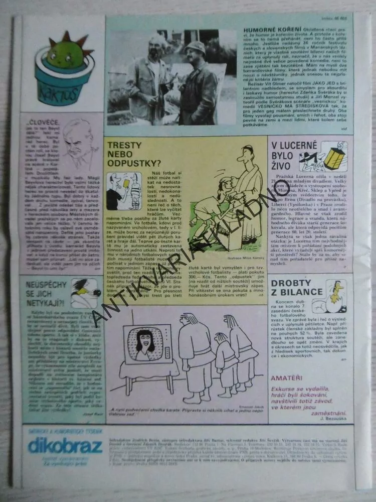 DIKOBRAZ 22/1986