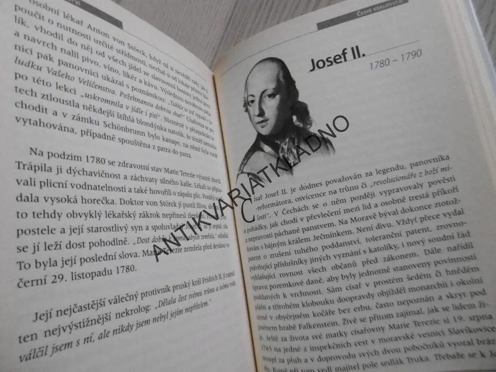 VLÁDCI ČESKÝCH ZEMÍ, **an