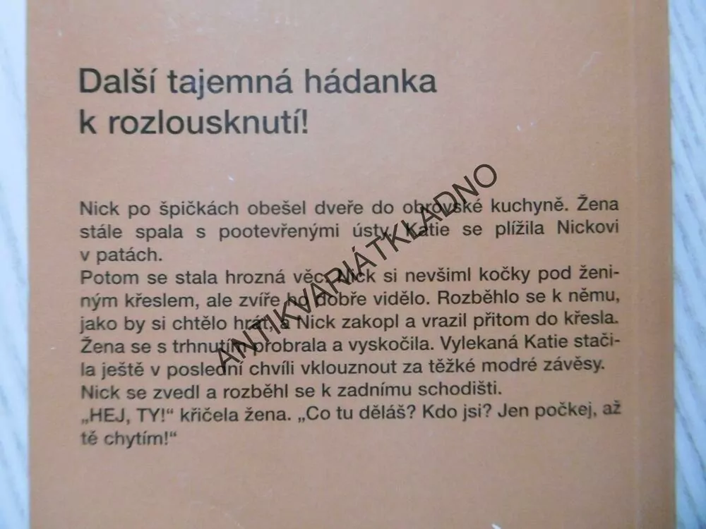 HÁDANKA RÁDŽOVA RUBÍNU, ENID BLYTONOVÁ, **an