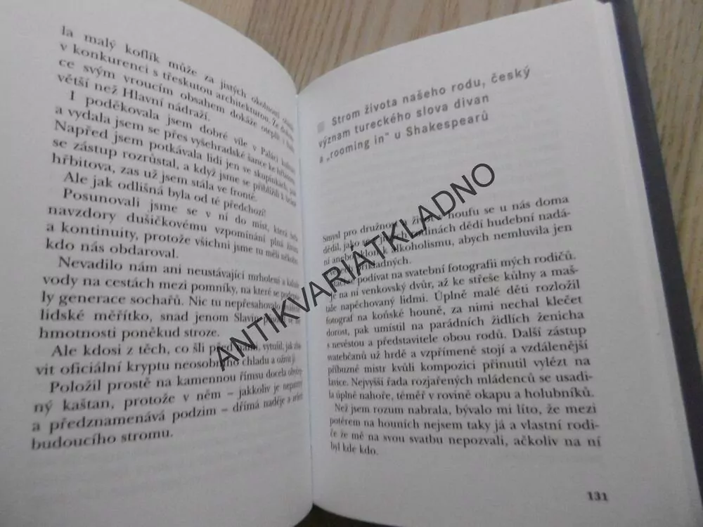 DOMOVNÍ DŮVĚRNOSTI, JINDŘIŠKA SMETANOVÁ, **an