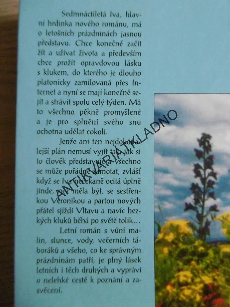 MOKRÁ NÁRUČ LÉTA, LENKA LANCZOVÁ, **an
