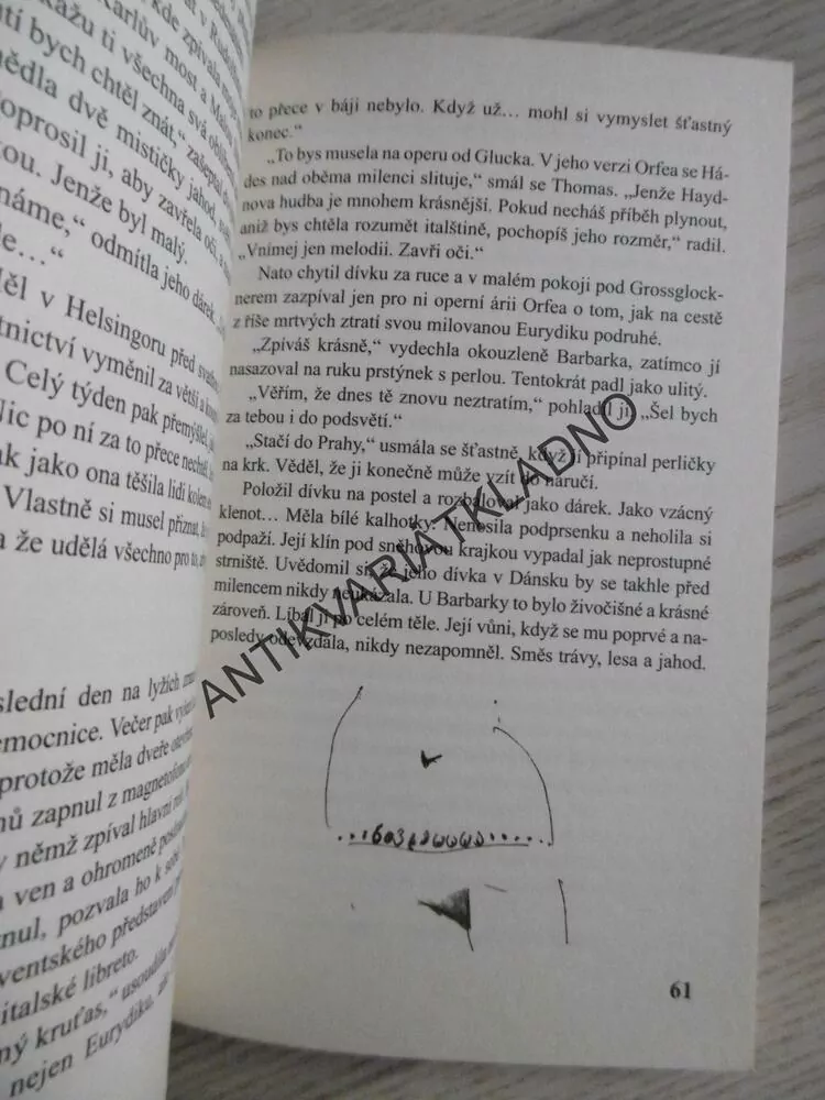 IN FLAGRANTI, SLASTI A STRASTI NEVĚRNÍKŮ, DANA EMINGEROVÁ,**an