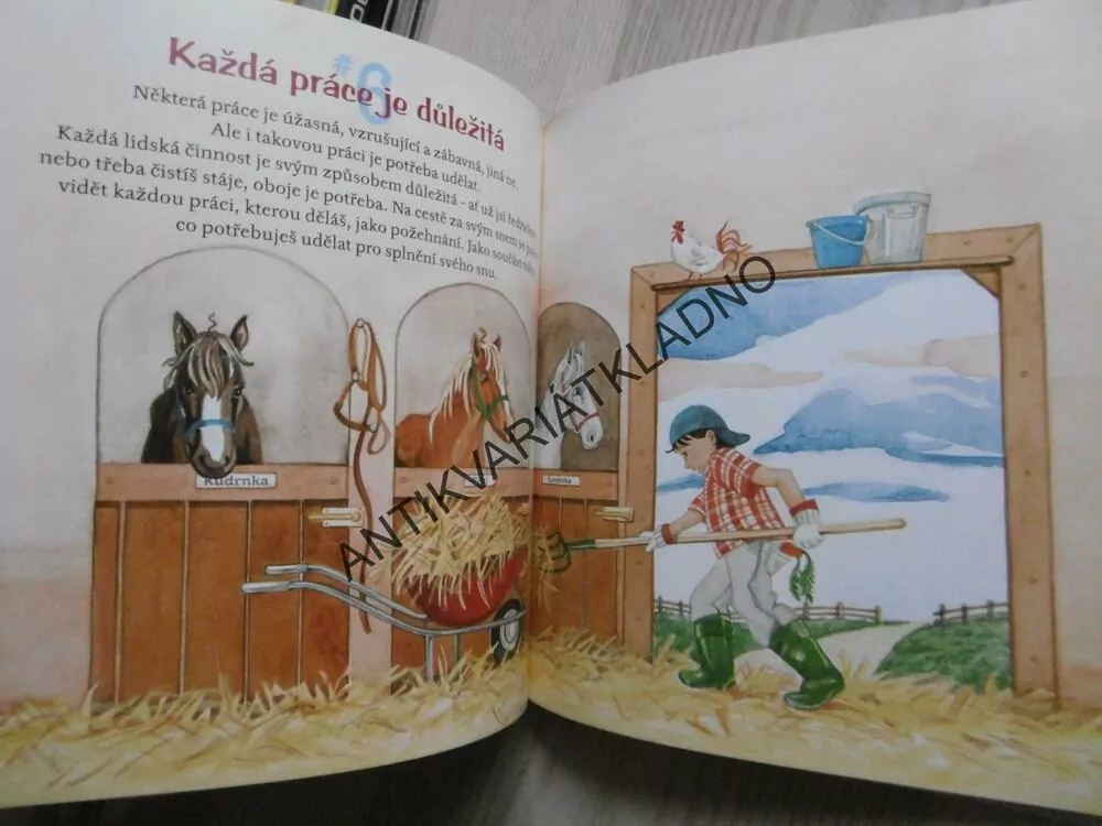 JSI MNOHEM VÍC NEŽ JEN TO CO MÁŠ, DR.WAYNE W.DYER, **an