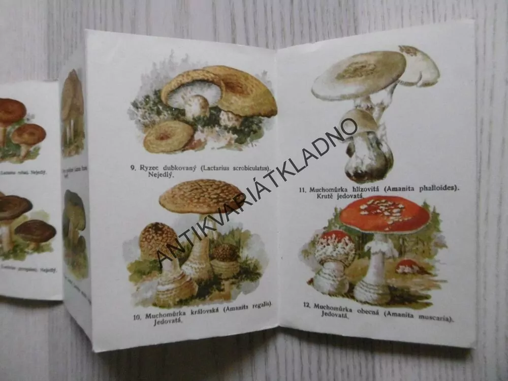 HOUBY, JEDOVATÉ, PODEZŘELÉ A NEJEDLÉ, KAPESNÍ ATLAS,