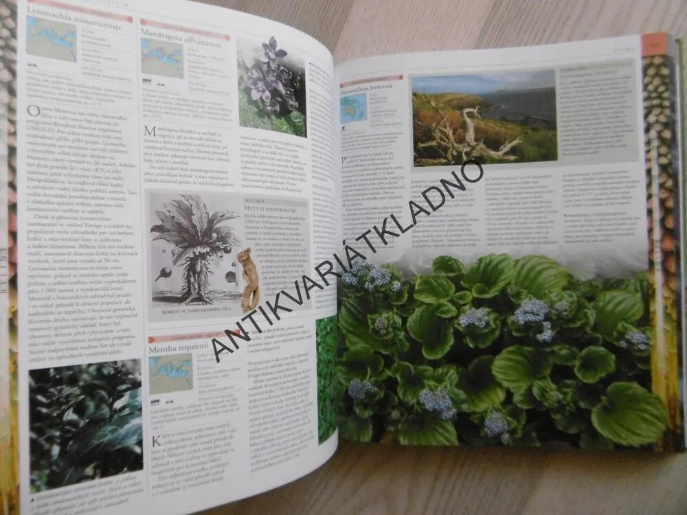 ROSTLINY, OBRAZOVÁ ENCYKLOPEDIE ROSTLIN CELÉHO SVĚTA , **an