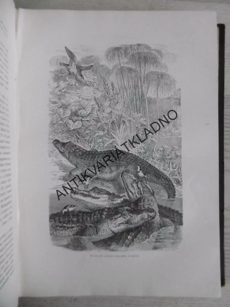 BREHM, BREHMŮV ŽIVOT ZVÍŘAT 3., PLAZI, **an