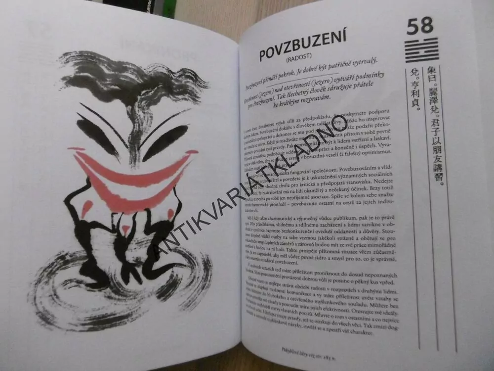 I-ŤING, ILUSTROVANÁ KNIHA PROMĚN, R.L. WING,