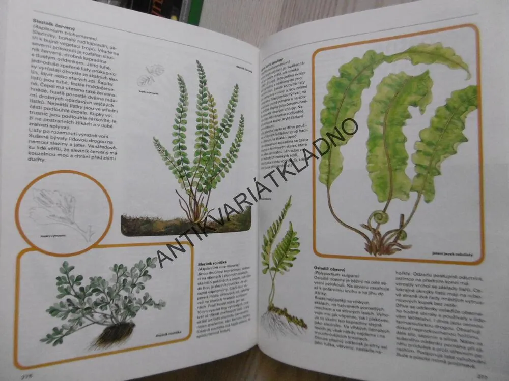 PESTRÁ PŘÍRODA, ZOOLOGIE, BOTANIKA, MINERALOGIE, **an
