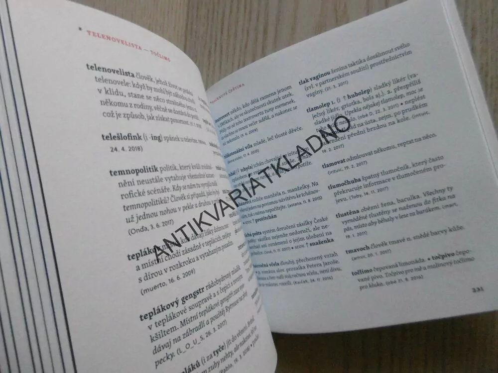 HACKNUTÁ ČEŠTINA, NEORTODOXNÍ SLOVNÍK DNEŠNÍ MATEŘŠTINY, KAVKA, ŠKRABAL, **an
