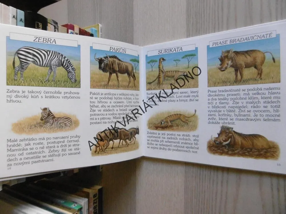 ZVÍŘATKA A HÁDANKY, SAVANA, PRALES, BOB BAMPTON, **an