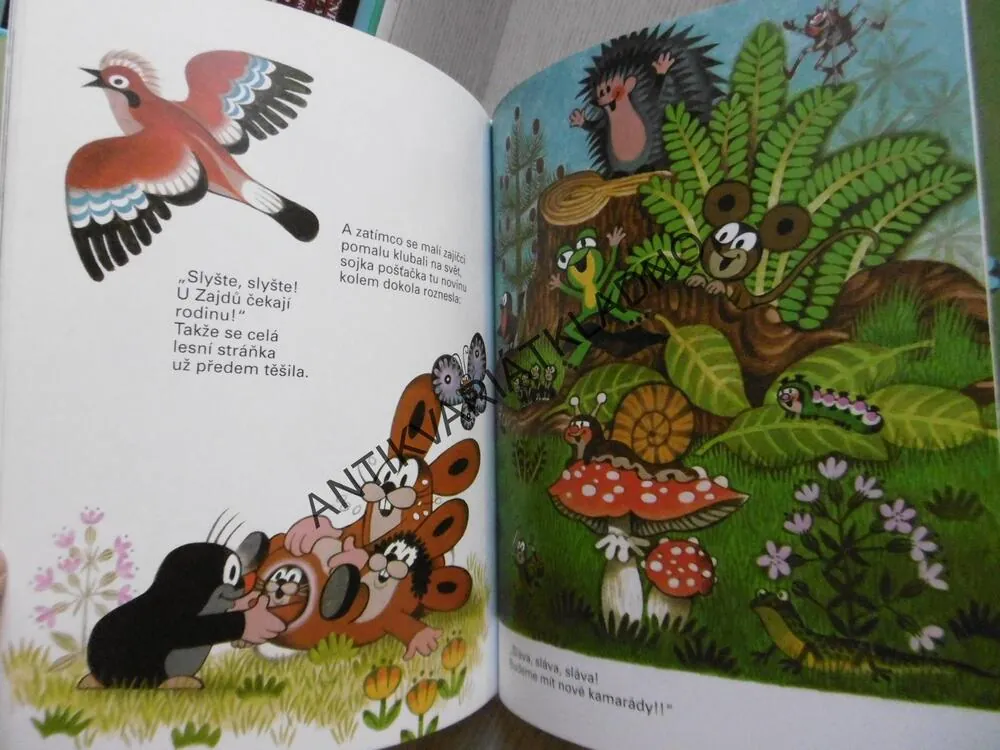 KRTEK A MAMINKA, ZDENĚK MILER, HANA DOSKOČILOVÁ, **an