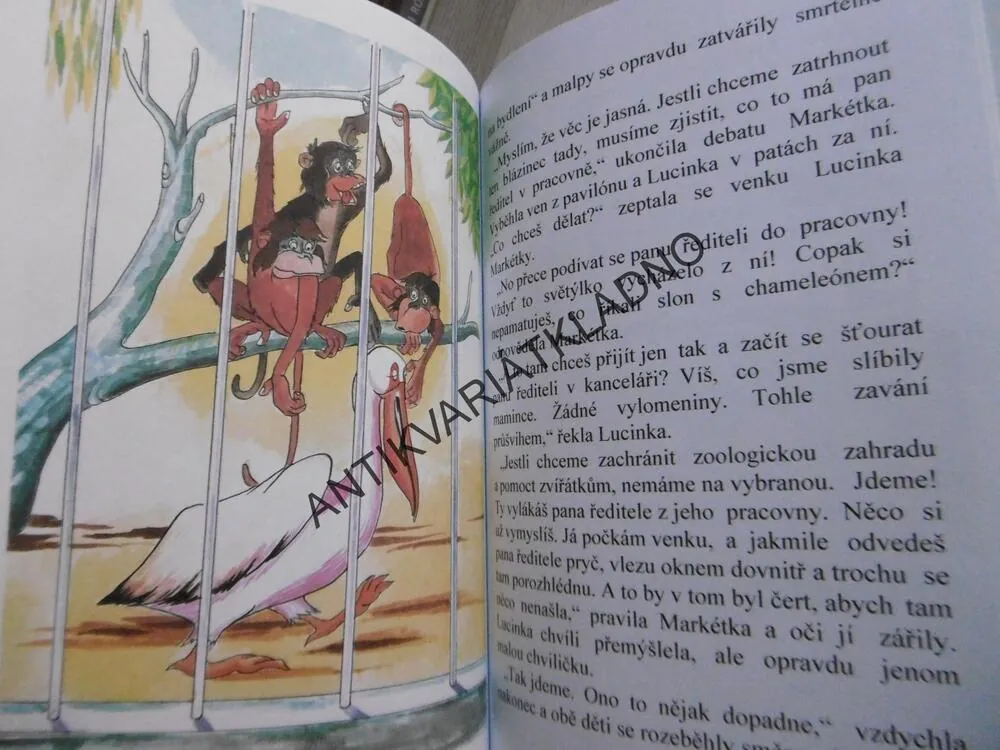 V ZOO, JAROMÍR KAMENICKÝ, BRUNO STEFAN,2001, **an