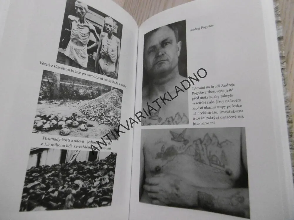 ÚTĚK Z OSVĚTIMI, ANDREJ POGOŽEV, **an