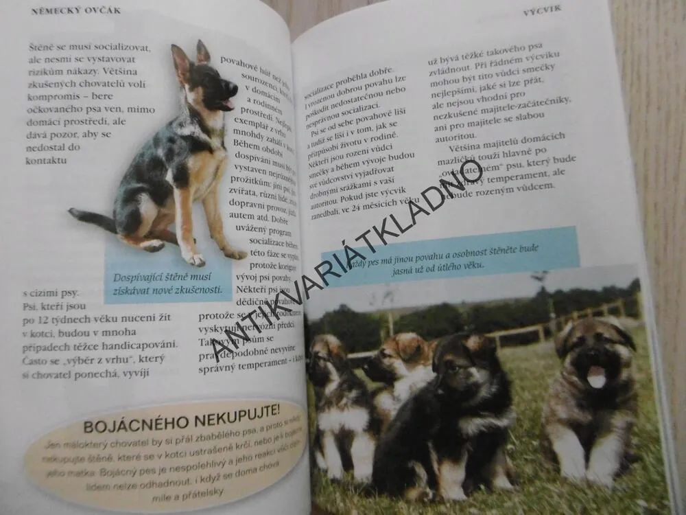 NĚMECKÝ OVČÁK, PES, CHOVATEL, MALCOLM WILLIS, PÉČE A VÝCVIK,, **an