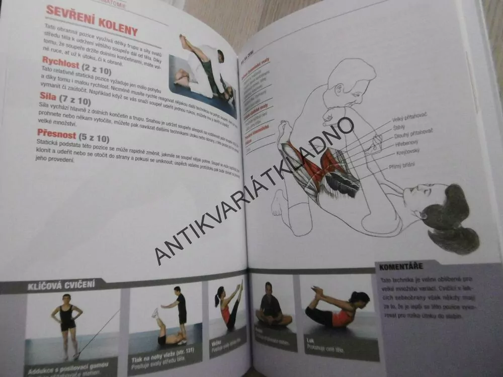 BOJOVÁ UMĚNÍ, ANATOMIE, NORMAN LINK, SPORT, **an