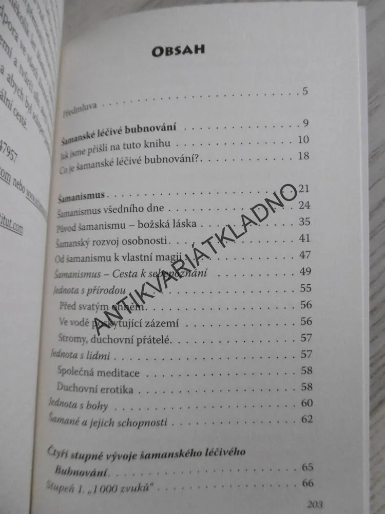 ŠAMANSKÉ LÉČIVÉ BUBNOVÁNÍ, JUNGHEE JANG, MARK HOSAK, **an