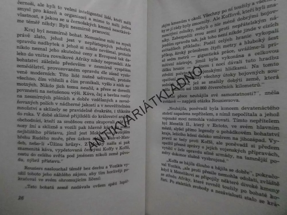 DCERA PŘESLAVNÉ KRÁLOVNY ZE SÁBY,REŽNÝ, 1941,REPORTÁŽNÍ ROMÁN, **an