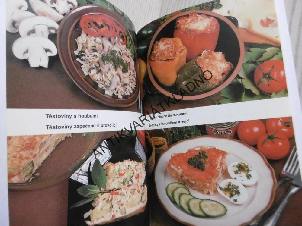 TĚSTOVINOVÁ KUCHAŘKA, ALENA DOLEŽALOVÁ, **an