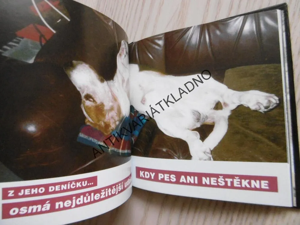 MILÁČEK, KNIHA O PSECH, RUDOLF MIHOLA,