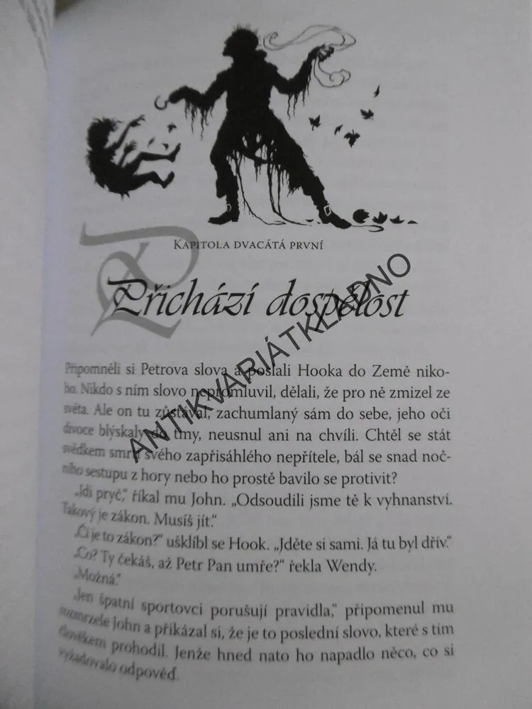 PETR PAN V ŠARLATOVÉM PLÁŠTI, GERALDINE MCCAUGHREAN, **an