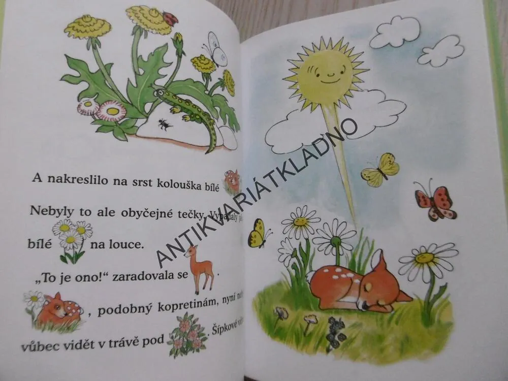 POHÁDKY Z HÁJOVNY, GABRIELA KOPCOVÁ, **an
