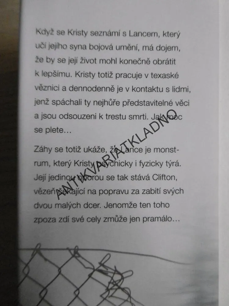 ZA ZDMI, HOLLIE OVERTONOVÁ, **an