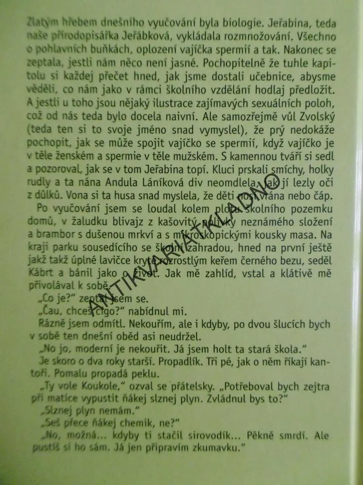 POMERANČE V PODRPSENCE, IVONA BŘEZINOVÁ, **an