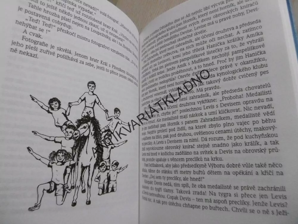 ALI A SEDM LOUPEŽNÍKŮ, MARCELA MARBOE, **an