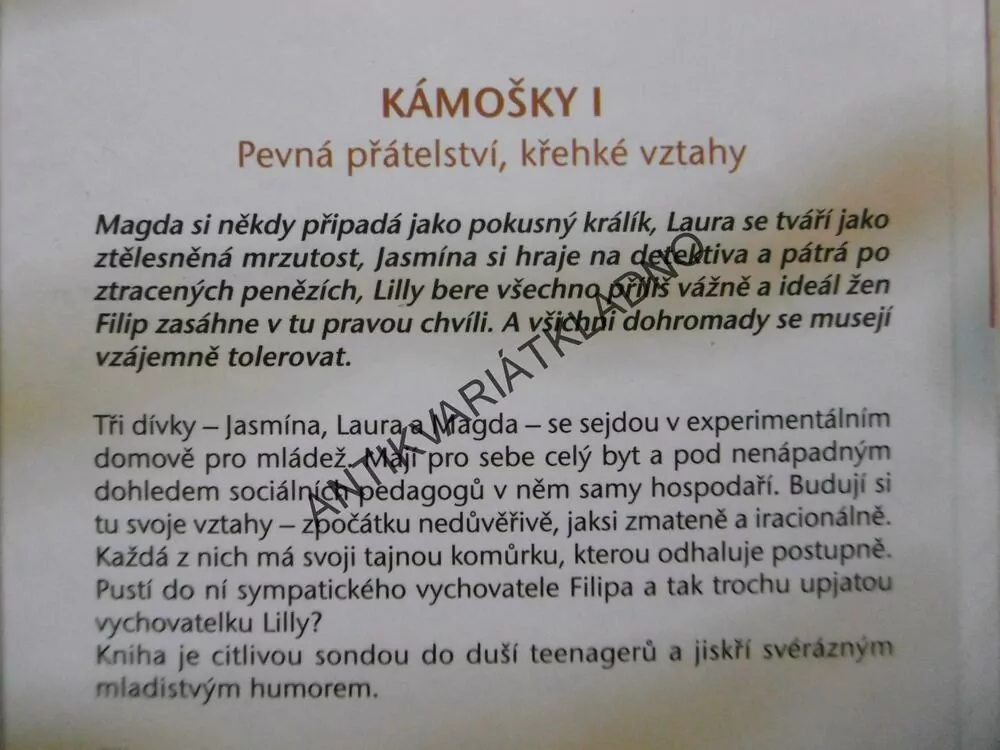 KÁMOŠKY I., PEVNÁ PŘÁTELSTVÍ, KŘEHKÉ VZTAHY, C. B. LESSMANN, **an