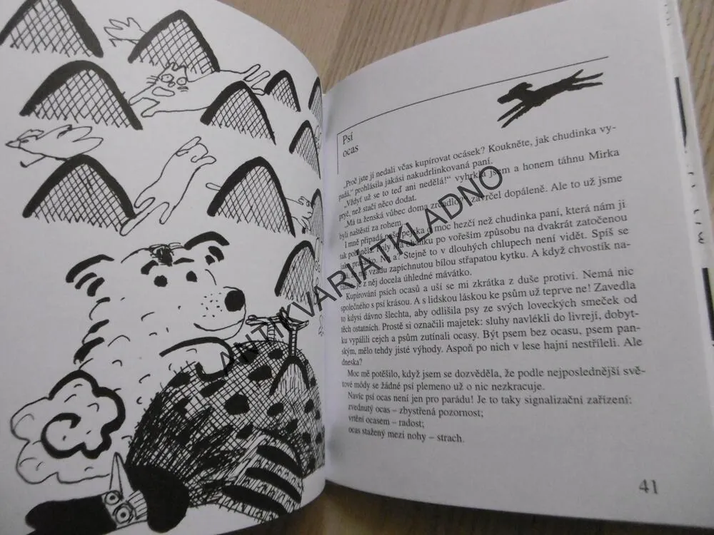 PEJSKOVÁNÍ S POLYNOU, HANA DOSKOČILOVÁ, **an