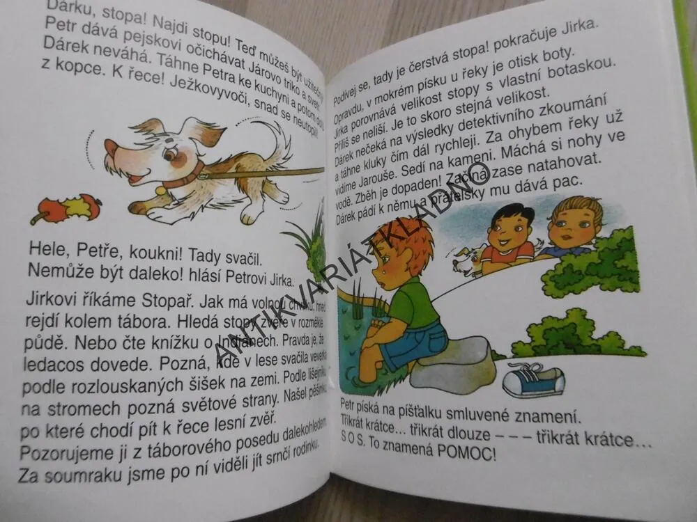 PRÁZDINY S PEJSKEM, JANA JELENOVÁ, **an