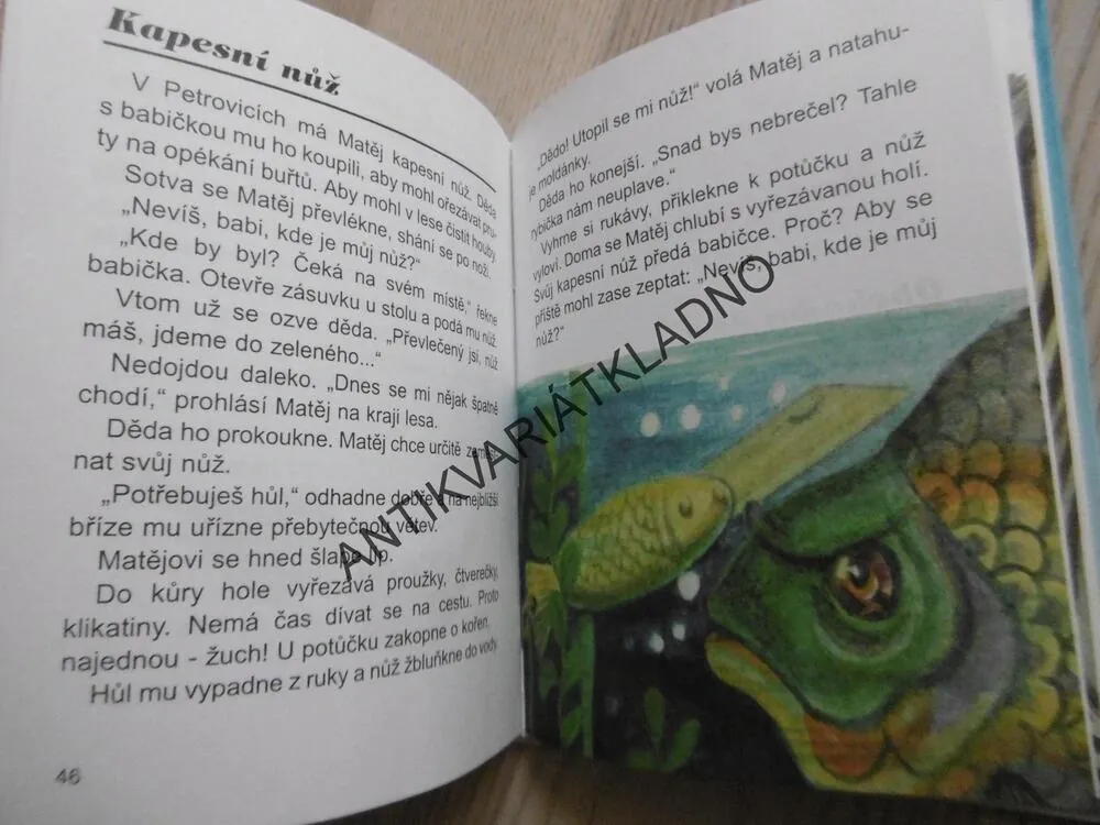 MATĚJ A JEHO SVĚT, LUDVÍK STŘEDA, **an