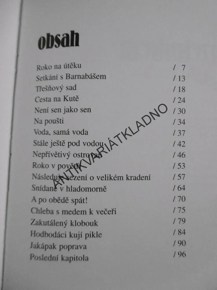 S KOUZELNÍKEM DO SVĚTA, IVAN BINAR, **an