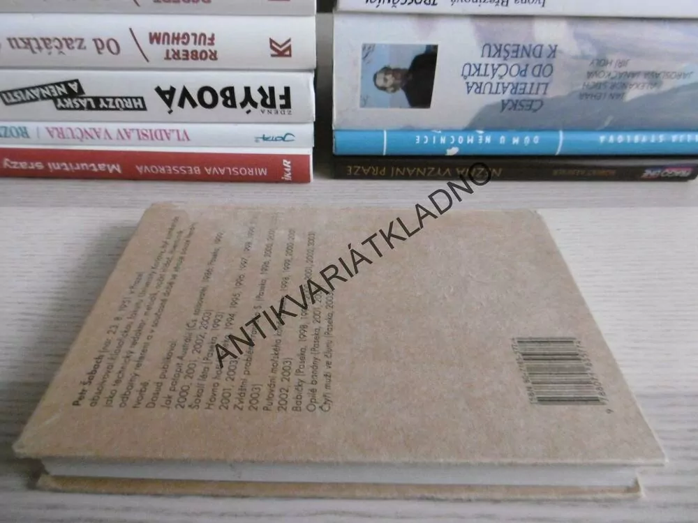 ČTYŘI MUŽI NA VODĚ ANEB OPILÉ BANÁNY SE VRACEJÍ, PETR ŠABACH, **an