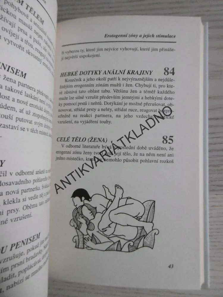NOVÁ KÁMASÚTRA, 365 ZPŮSOBŮ MILOVÁNÍ, VÁCLAV BUDINSKÝ, **an