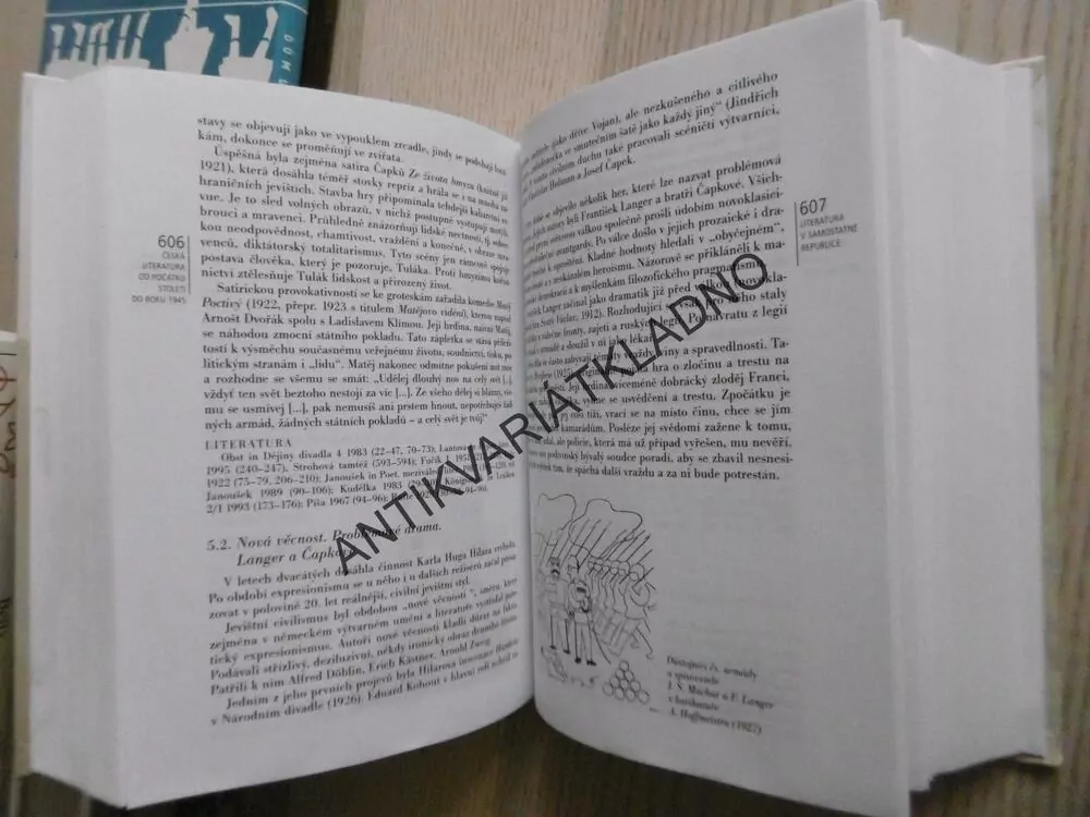 ČESKÁ LITERATURA OD POČÁTKŮ K DNEŠKU, JAN LEHÁR, ALEXANDR STICH, JAROSLAVA JANÁČKOVÁ, JIŘÍ HOLÝ, **an