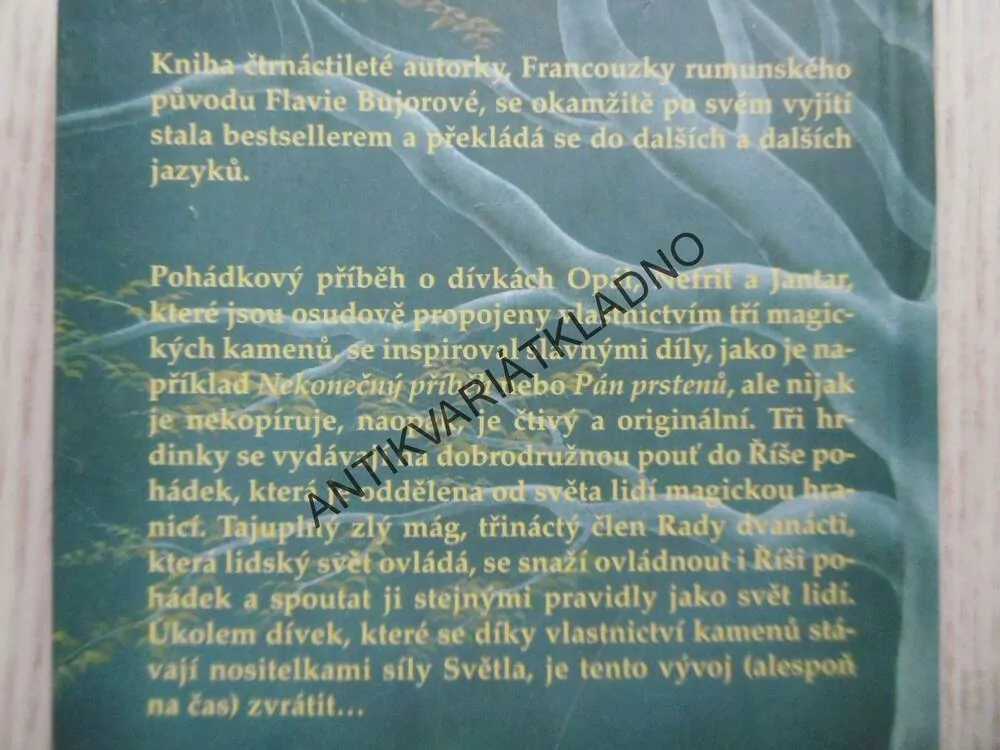 KAMENY OSUDU, FLAVIA BUJOROVÁ, **an