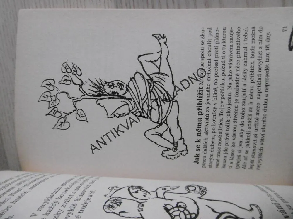 KLÍČ K URČOVÁNÍ KLUKŮ, KATHRYN LAMBOVÁ, **an