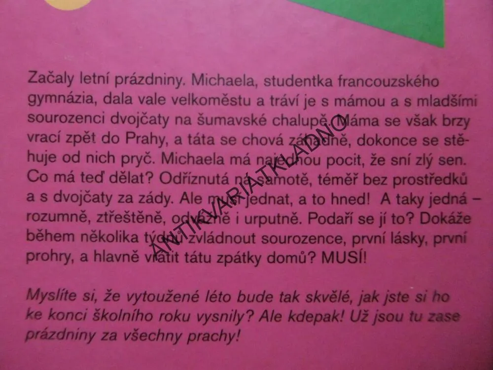 PRÁZDNINY ZA VŠECHNY PRACHY, PETRA BRAUNOVÁ, **an