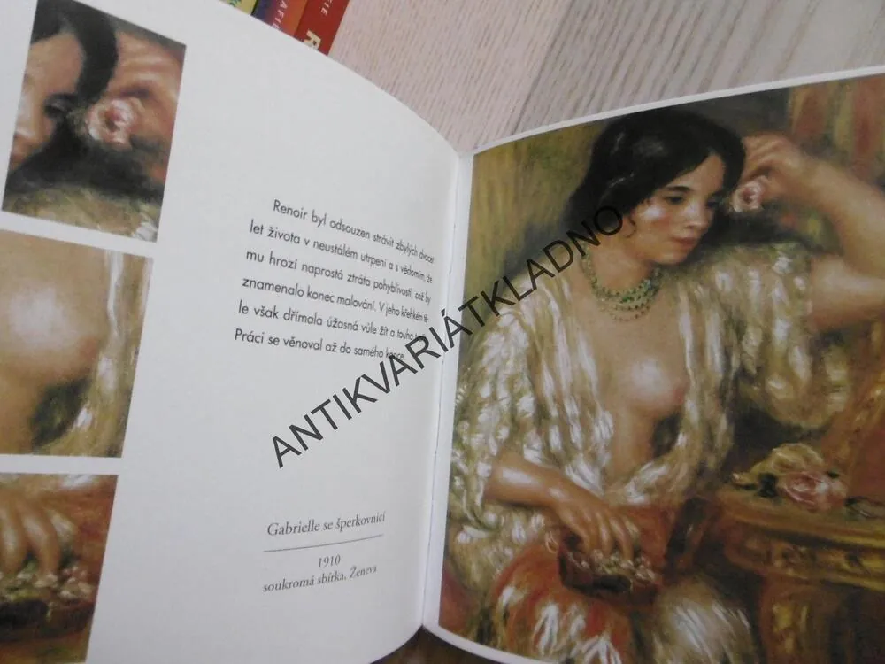 RENOIR, **an