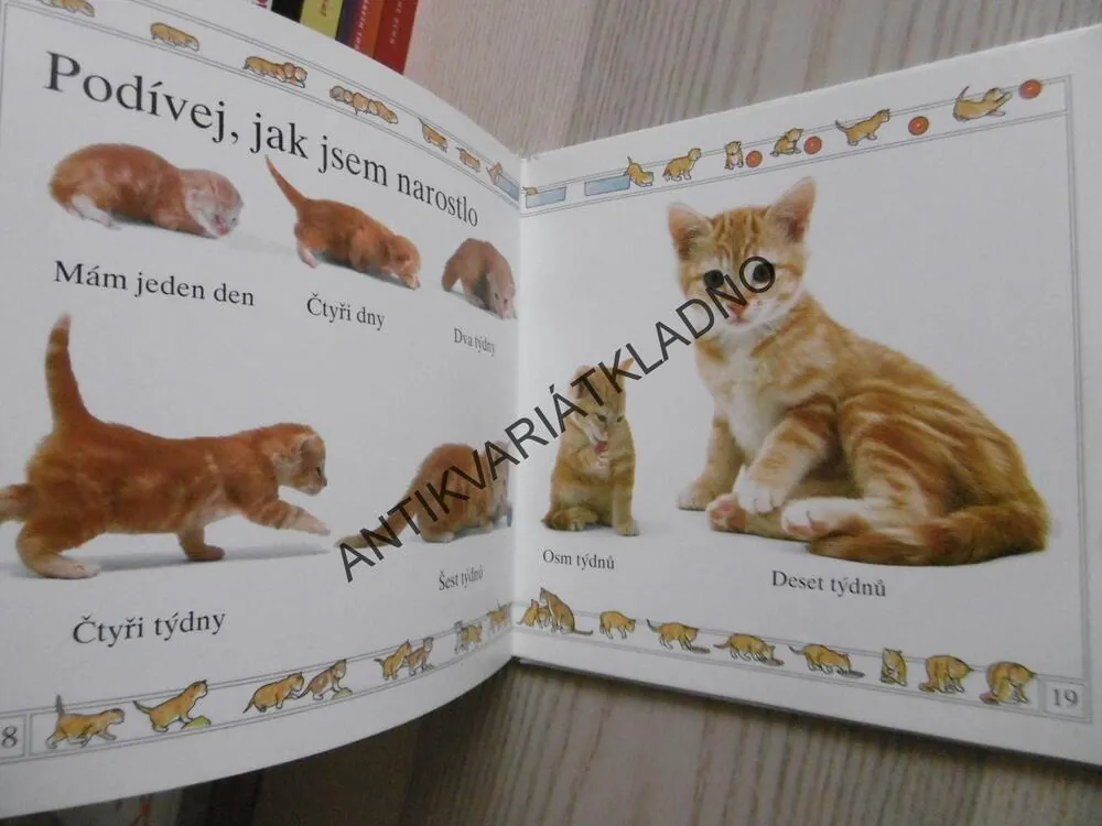 KOŤÁTKO, **an