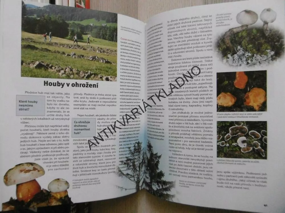HOUBY, , CO JAK PROČ, SV.41., MYKOLOGIE, **an