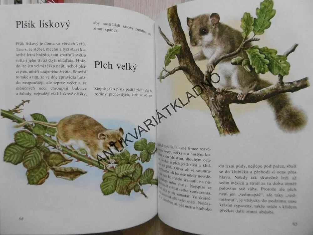 MŮJ BAREVNÝ ATLAS ZVÍŘAT, ERNEST W. BAUER, **an