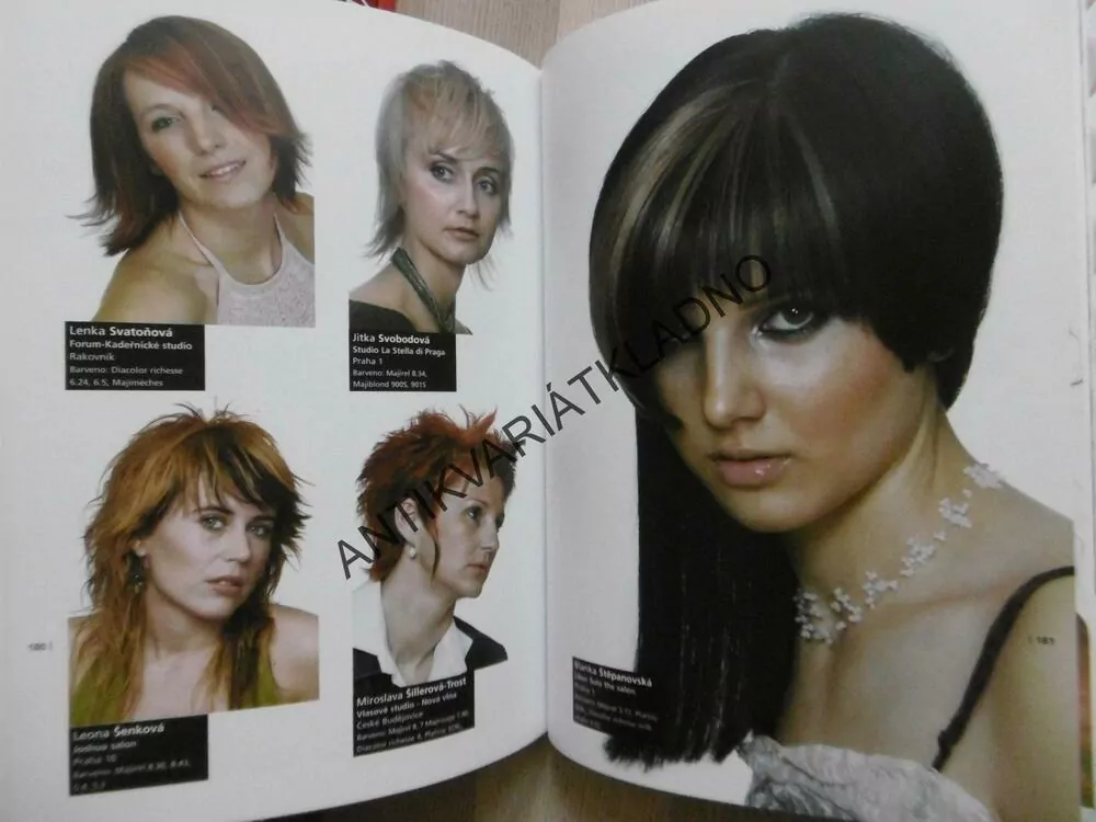 BAREVNÉ INSPIRACE, BEST OF L´OREAL COLOR TROPHY,  **an