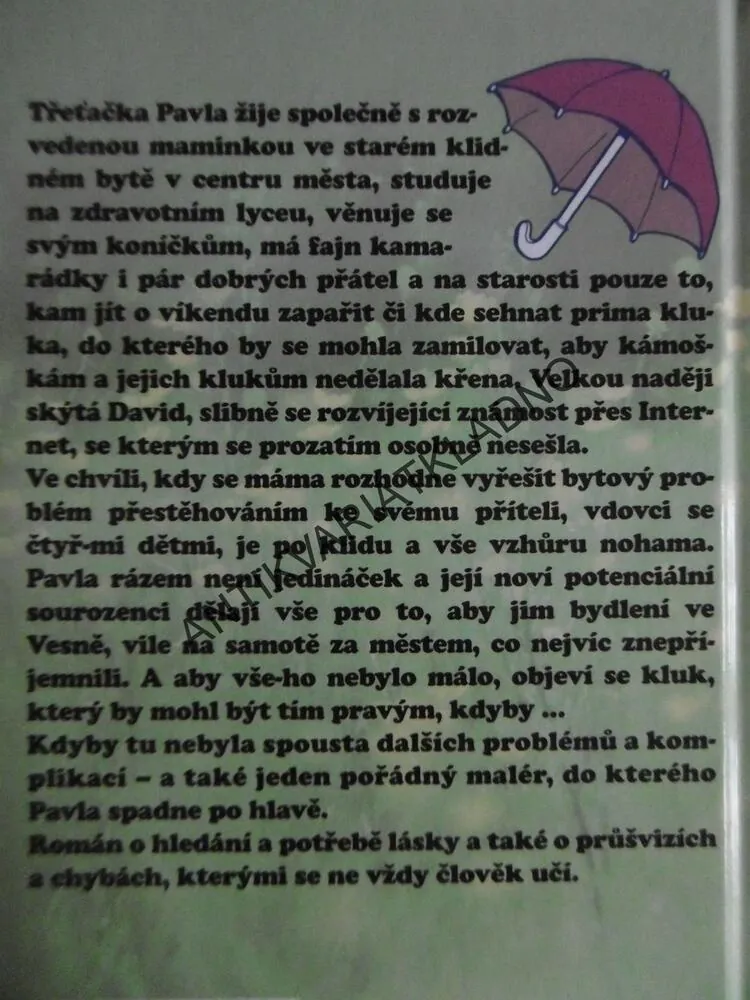 VŮNĚ DEŠTĚ, LENKA LANCZOVÁ, **an
