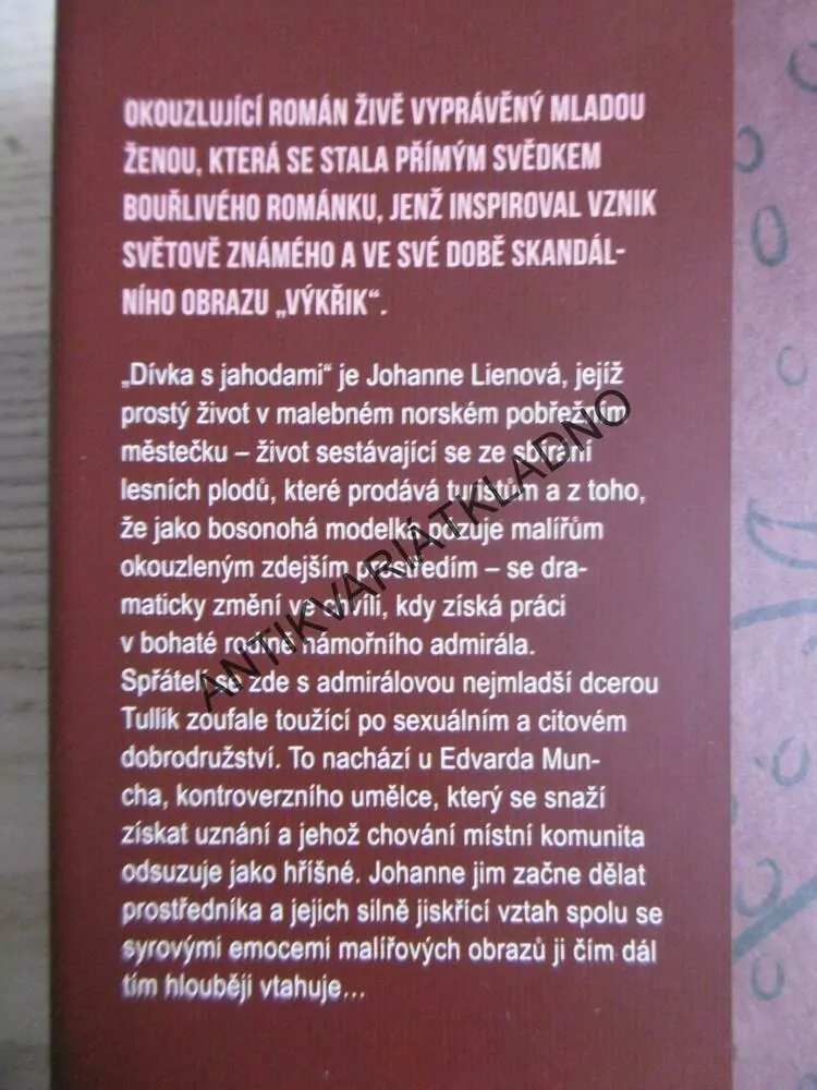 DÍVKA S JAHODAMI, LISA STROMME, **an