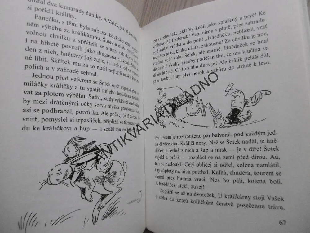 ŠOTEK Z CHALUPY, EMIL POSLEDNÍK, **an