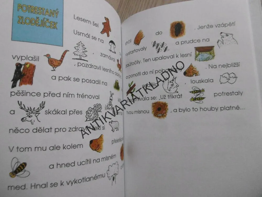 MALOVANÉ ŘÍKANKY, **an